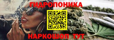 герыч Можга