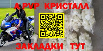 дживик Моздок