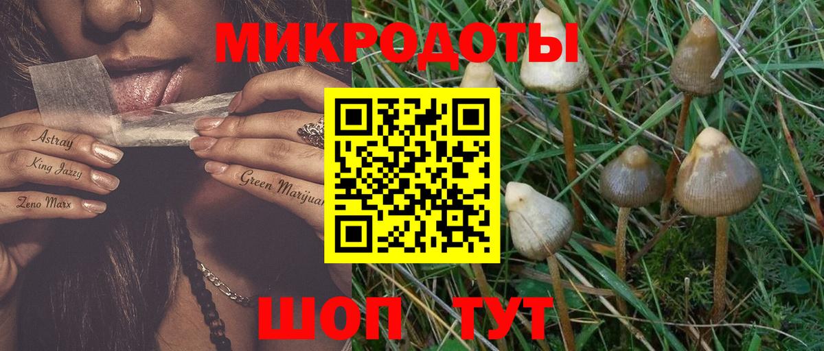 Псилоцибиновые грибы Cubensis  Вход с VPN  Шатура 